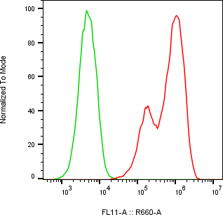 Rabbit-anti sclerostin monoclonal antibody
