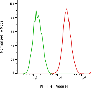 Rabbit-anti HER2 monoclonal antibody