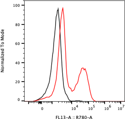 Rabbit-anti SLITRK6 monoclonal antibody
