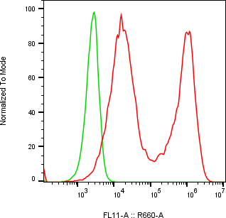 Rabbit-anti ITIH3 monoclonal antibody