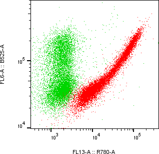 Rabbit-anti IL11 monoclonal antibody