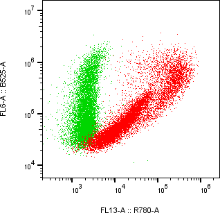 Rabbit-anti KIR2DL3 monoclonal antibody