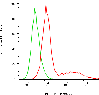 Rabbit-anti IL23R monoclonal antibody