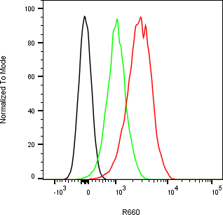 Rabbit-anti NRP1 monoclonal antibody