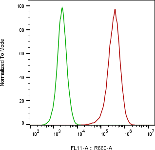 Rabbit-anti PROCR monoclonal antibody