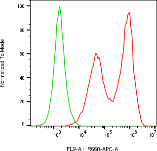 Rabbit-anti PTGDS monoclonal antibody