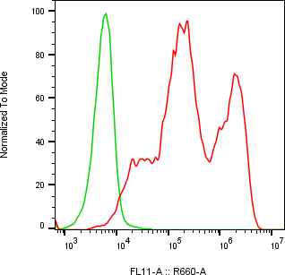 Rabbit-anti LYG2 monoclonal antibody