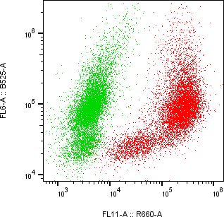 Rabbit-anti CD7 monoclonal antibody