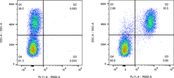 Rabbit-anti FCGR1A monoclonal antibody
