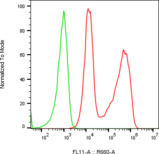 Rabbit-anti VSTM2A monoclonal antibody