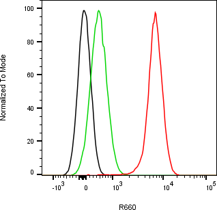 Rabbit-anti APOE monoclonal antibody