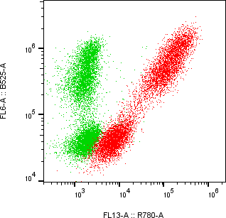 Rabbit-anti SERPINF1 monoclonal antibody