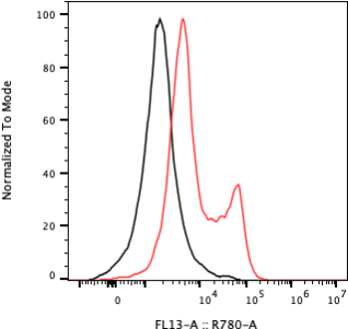 Rabbit-anti CD79B monoclonal antibody