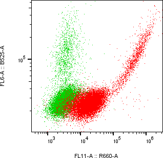 Rabbit-anti CDH3 monoclonal antibody