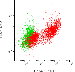 Rabbit-anti PSAP monoclonal antibody
