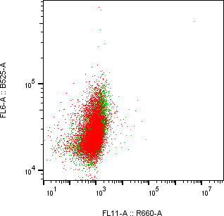 Rabbit-anti LAP region of TGF-&beta;1 monoclonal antibody