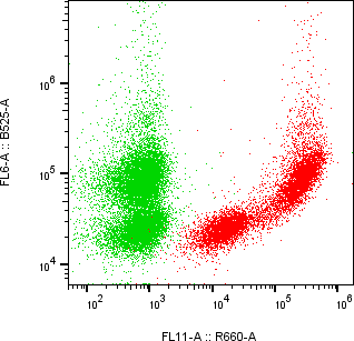 Rabbit-anti INSL4 monoclonal antibody
