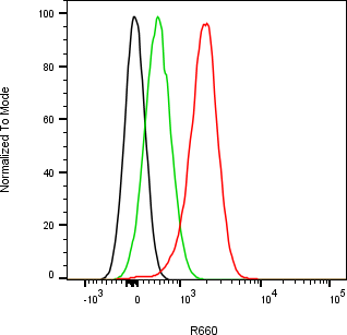 Rabbit-anti CLEC3B monoclonal antibody