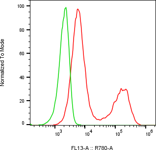 Rabbit-anti KLK7 monoclonal antibody