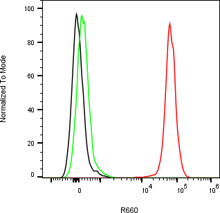 Rabbit-anti SFTPD monoclonal antibody