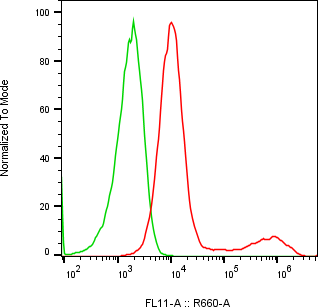 Rabbit-anti SERPINF2 monoclonal antibody