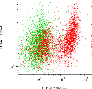 Rabbit-anti GDNF monoclonal antibody