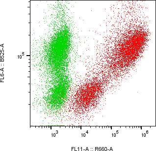 Rabbit-anti DEFA1 monoclonal antibody