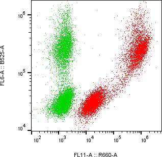 Rabbit-anti PTTG1IP monoclonal antibody