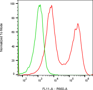 Rabbit-anti APOA4 monoclonal antibody