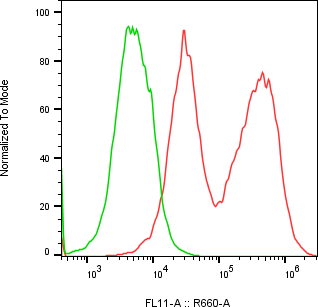 Rabbit-anti SLPI monoclonal antibody