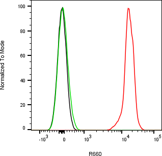 Rabbit-anti SPARC monoclonal antibody