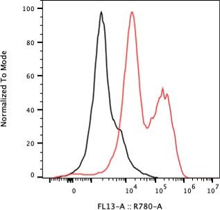 Rabbit-anti CGB8 monoclonal antibody