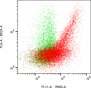 Rabbit-anti AOAH monoclonal antibody