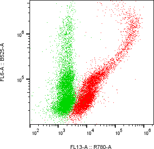 Rabbit-anti ITGB1 monoclonal antibody