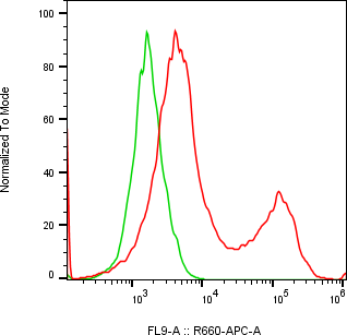 Rabbit-anti GFRA2 monoclonal antibody