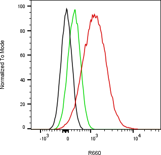 Rabbit-anti MMP9 monoclonal antibody