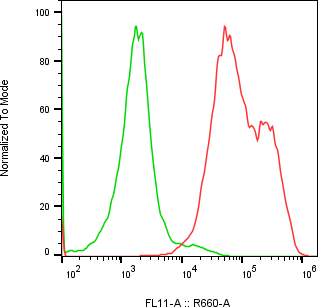 Rabbit-anti HPSE monoclonal antibody