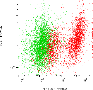 Rabbit-anti GDNF monoclonal antibody