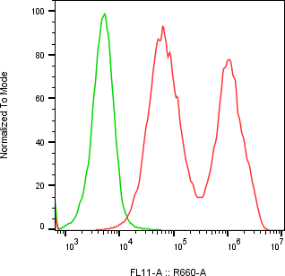 Rabbit-anti APOD monoclonal antibody
