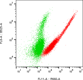 Rabbit-anti VTN monoclonal antibody