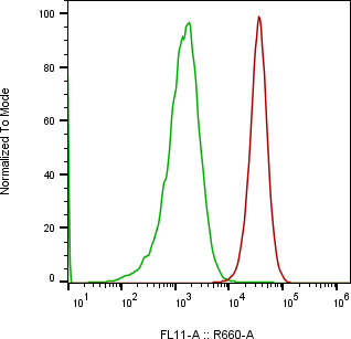 Rabbit-anti LTBR monoclonal antibody