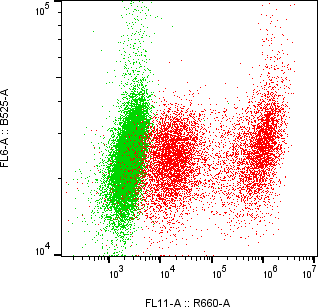 Rabbit-anti ITIH3 monoclonal antibody