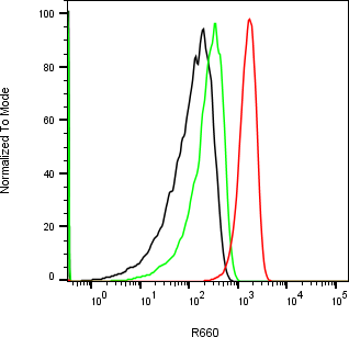Rabbit-anti AMHR2 monoclonal antibody
