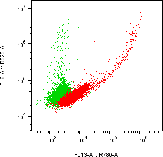 Rabbit-anti KIRREL1 monoclonal antibody
