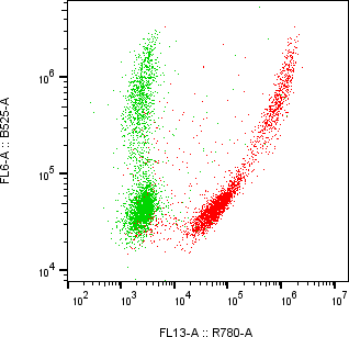 Rabbit-anti IL-1&alpha; monoclonal antibody