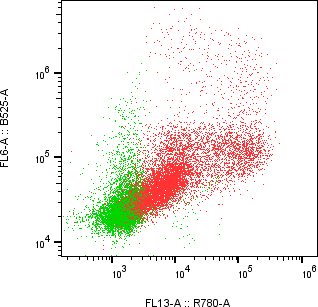 Rabbit-anti TPBG monoclonal antibody