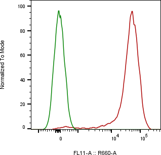 Rabbit-anti CD6 monoclonal antibody