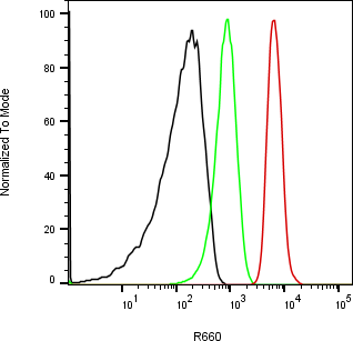 Rabbit-anti ACRV1 monoclonal antibody