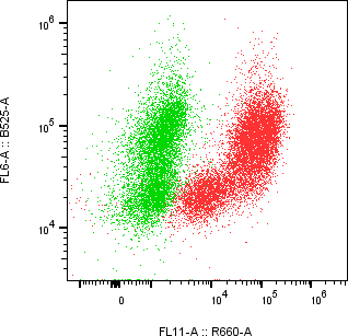 Rabbit-anti LCN1 monoclonal antibody