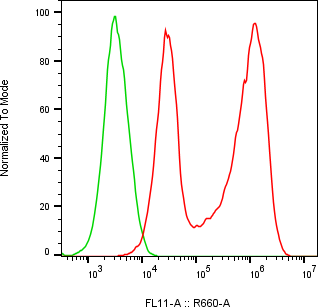 Rabbit-anti LAP-TGF-&beta;1 monoclonal antibody